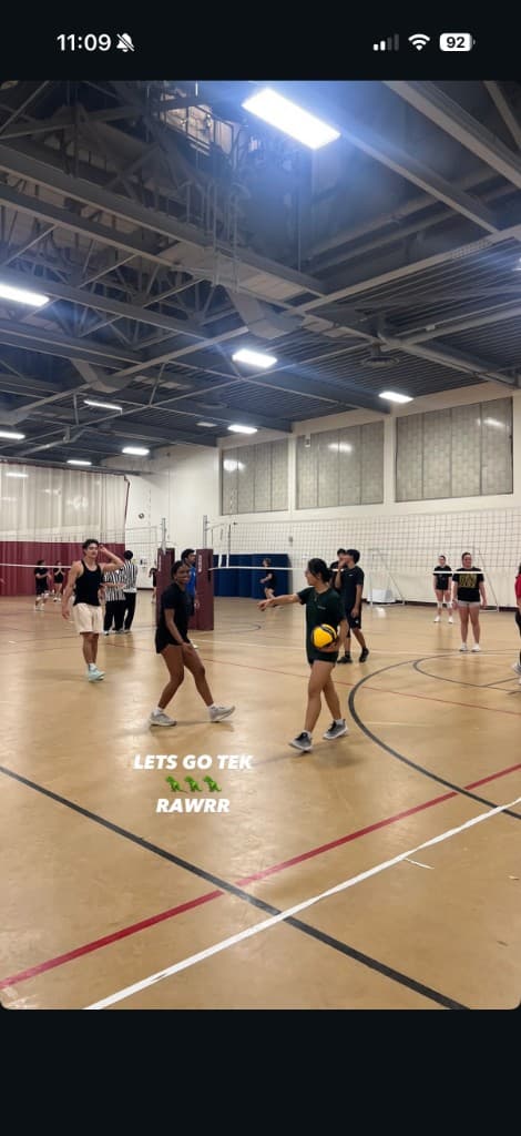 TEK Volleyball Game