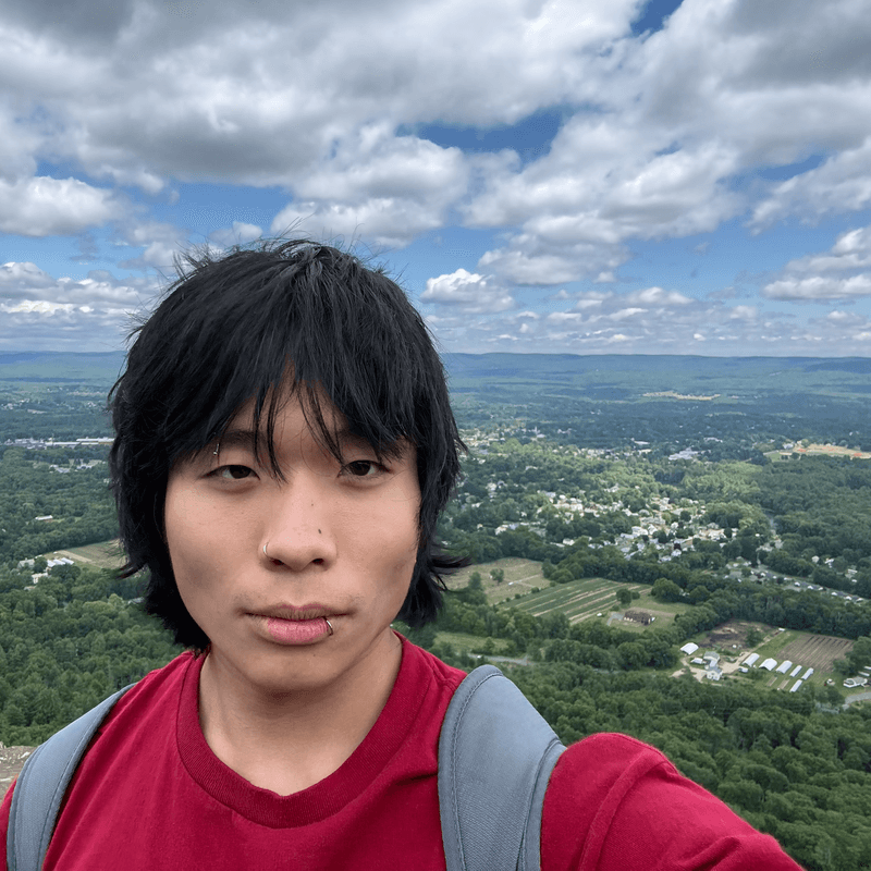 Vinh Nguyen